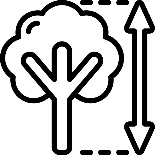 Crown reduction