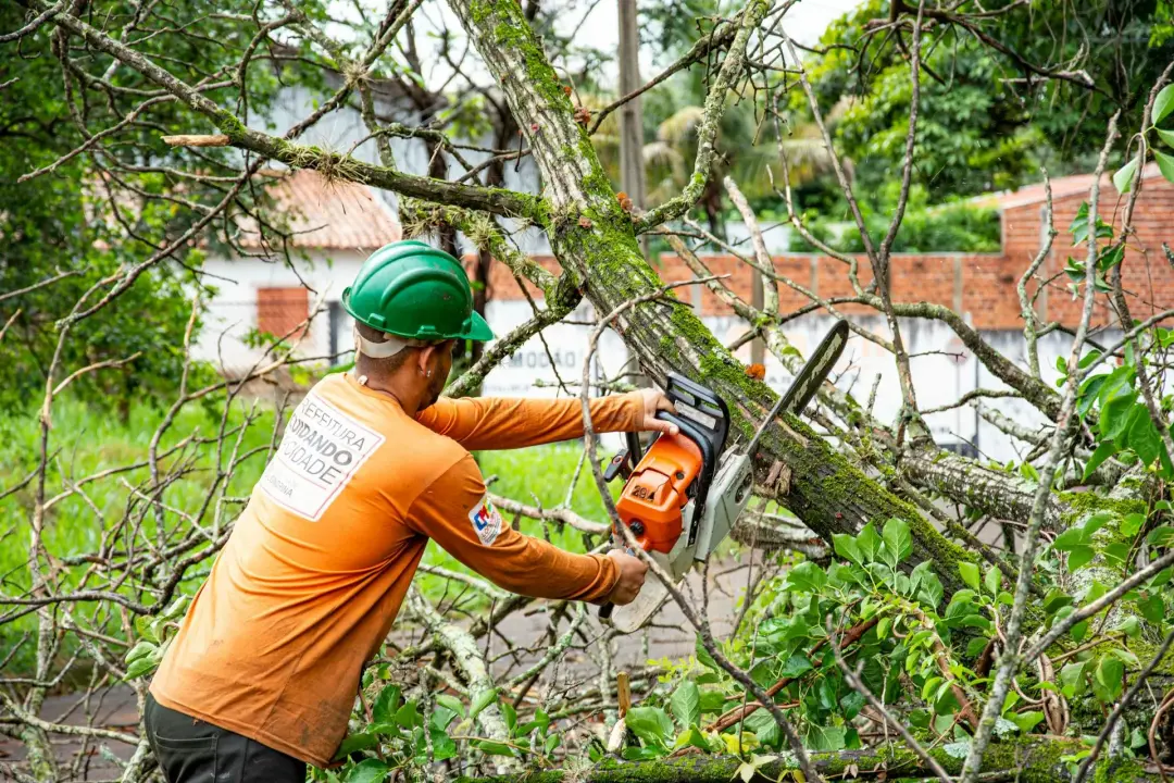 Tree Trimming Warrington, Widnes and Runcorn