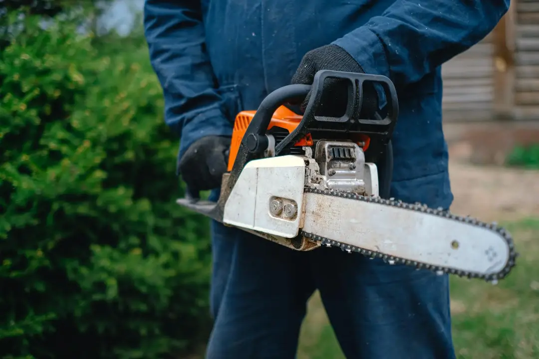 Tree Trimming Service in Widnes