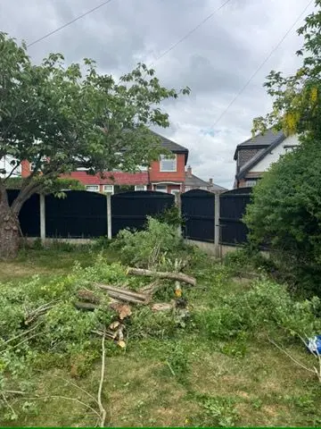 Tree Surgery Quotes in Warrington